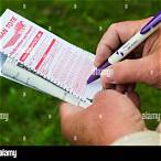 placing a bet on a horse race